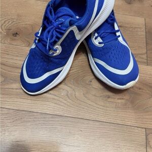 Nike Blue and White Running Shoes
